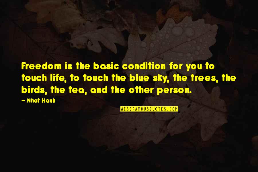 Blue Sky And Life Quotes By Nhat Hanh: Freedom is the basic condition for you to
