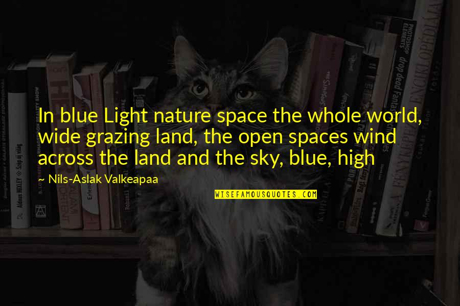 Blue Space Quotes By Nils-Aslak Valkeapaa: In blue Light nature space the whole world, Blue Space Quotes By Nils-Aslak Valkeapaa: In blue Light nature space the whole world,