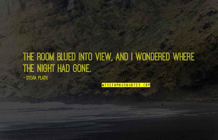 Blued Quotes By Sylvia Plath: The room blued into view, and I wondered
