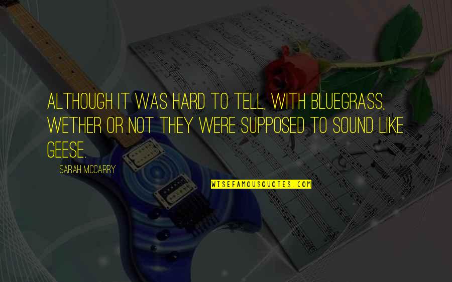 Bluegrass Quotes By Sarah McCarry: Although it was hard to tell, with bluegrass,