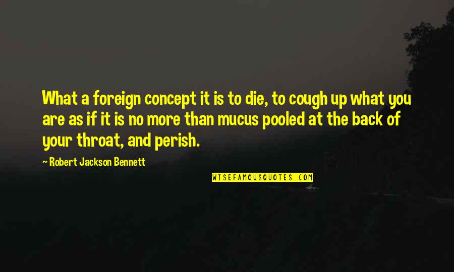Blueness Under Eyes Quotes By Robert Jackson Bennett: What a foreign concept it is to die,