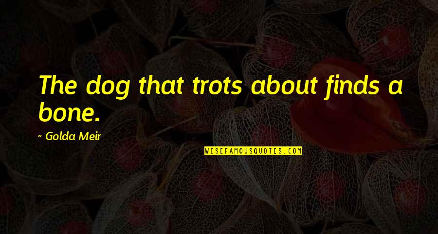 Bluepenciled Quotes By Golda Meir: The dog that trots about finds a bone. Bluepenciled Quotes By Golda Meir: The dog that trots about finds a bone.