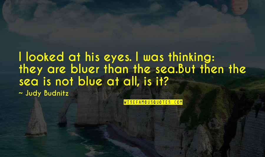 Bluer Than Blue Quotes By Judy Budnitz: I looked at his eyes. I was thinking: