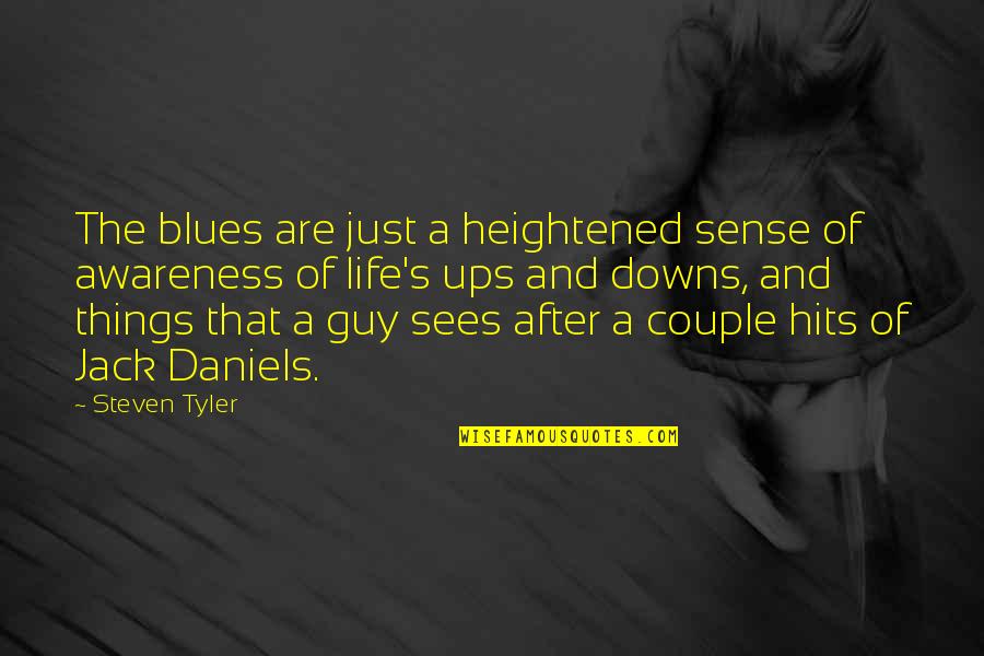 Blues Music Quotes By Steven Tyler: The blues are just a heightened sense of