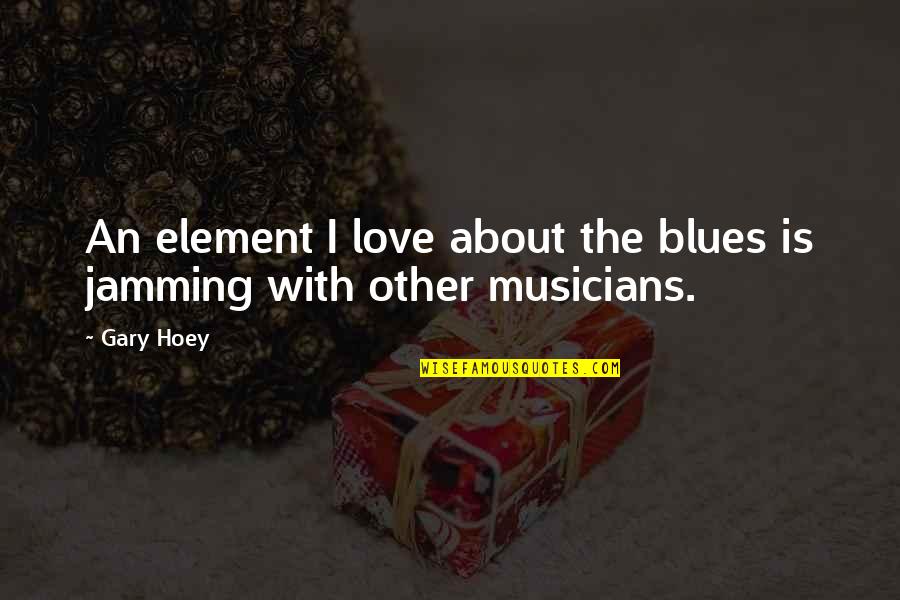 Blues Musicians Quotes By Gary Hoey: An element I love about the blues is