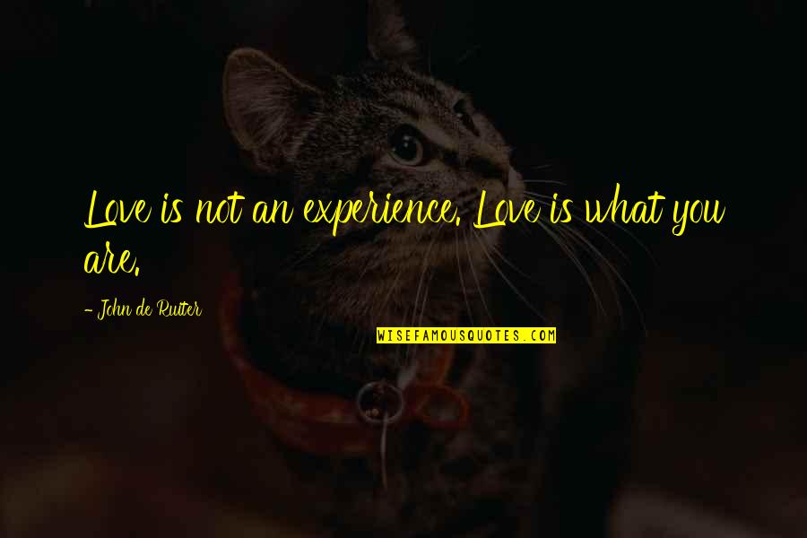 Bluey Hammerbarn Quotes By John De Ruiter: Love is not an experience. Love is what Bluey Hammerbarn Quotes By John De Ruiter: Love is not an experience. Love is what