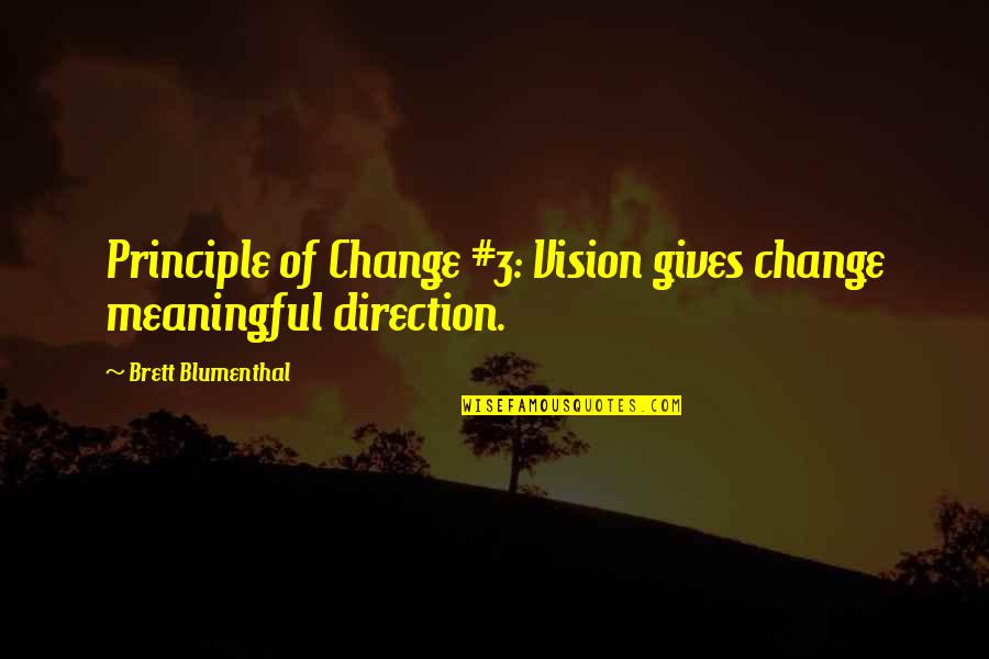 Blumenthal Quotes By Brett Blumenthal: Principle of Change #3: Vision gives change meaningful Blumenthal Quotes By Brett Blumenthal: Principle of Change #3: Vision gives change meaningful