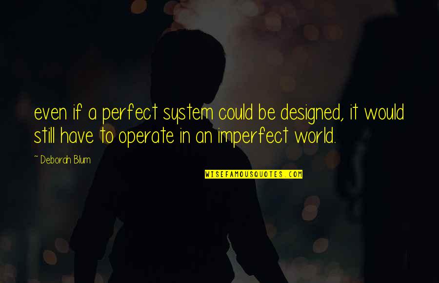 Blum's Quotes By Deborah Blum: even if a perfect system could be designed,
