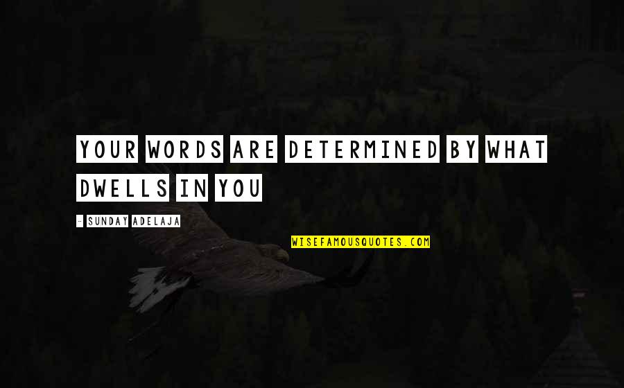 Blunderland Variety Quotes By Sunday Adelaja: Your words are determined by what dwells in