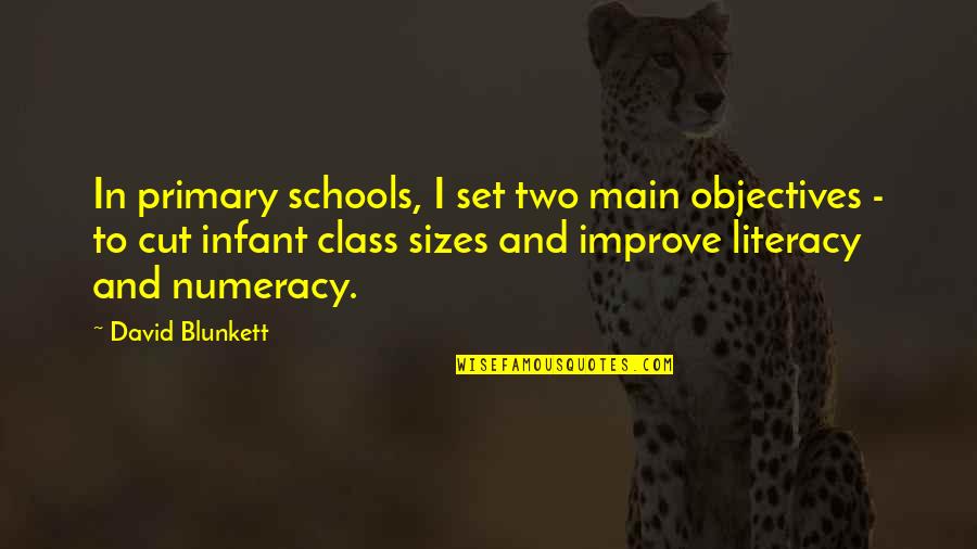 Blunkett's Quotes By David Blunkett: In primary schools, I set two main objectives Blunkett's Quotes By David Blunkett: In primary schools, I set two main objectives