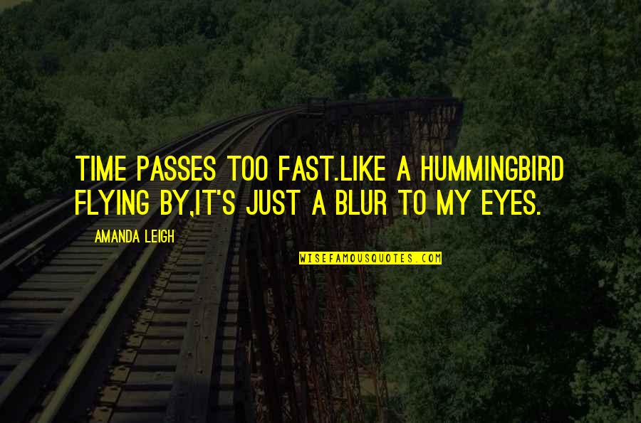 Blur Quotes By Amanda Leigh: Time passes too fast.Like a hummingbird flying by,it's