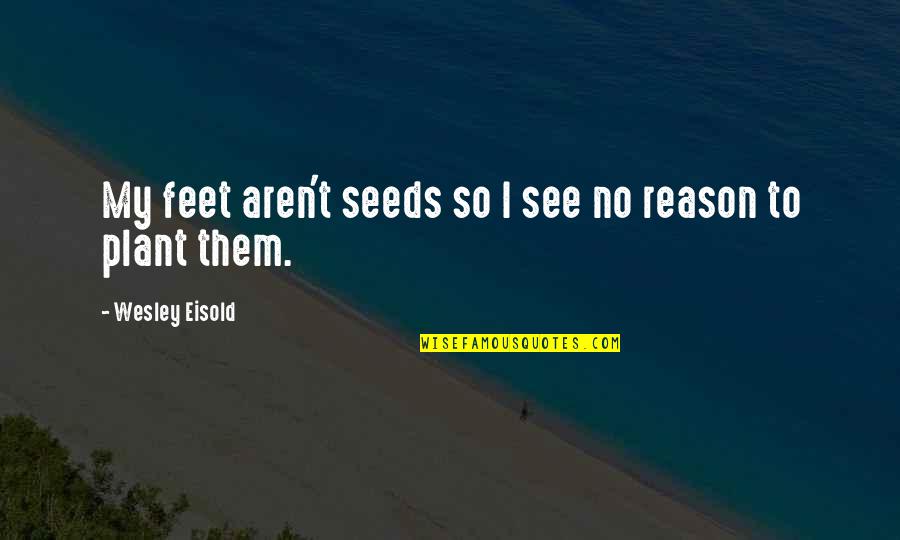 Blurry Days Quotes By Wesley Eisold: My feet aren't seeds so I see no