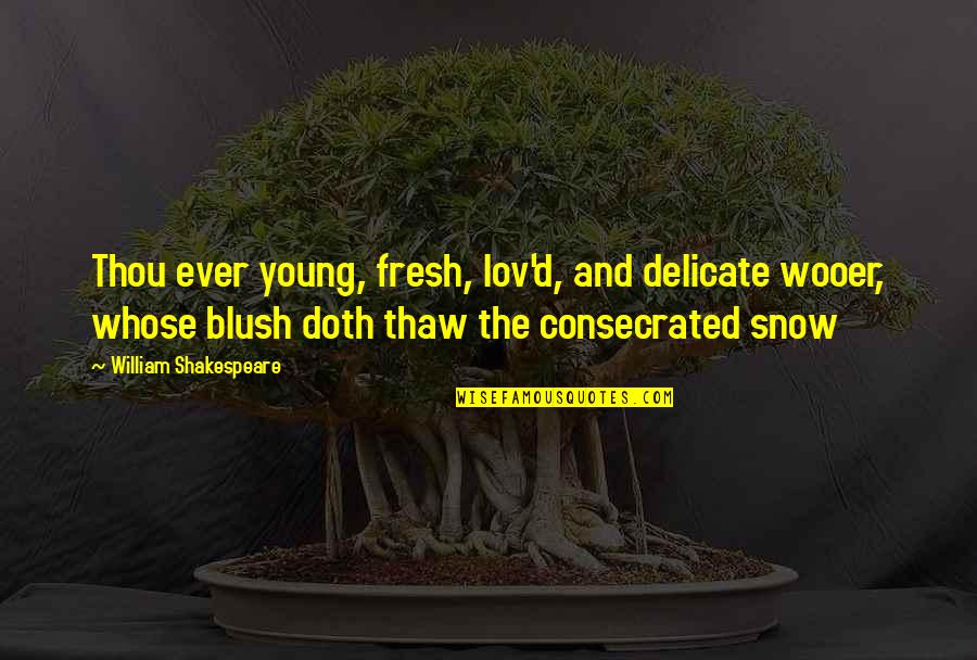 Blush Quotes By William Shakespeare: Thou ever young, fresh, lov'd, and delicate wooer,