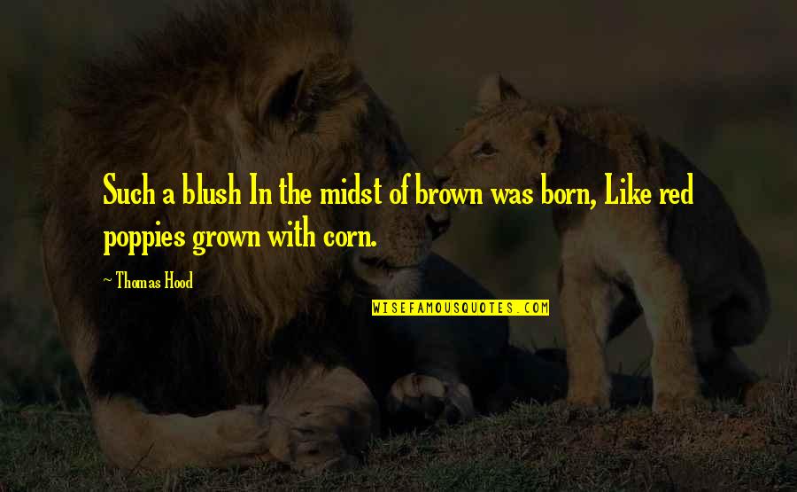 Blush'd Quotes By Thomas Hood: Such a blush In the midst of brown