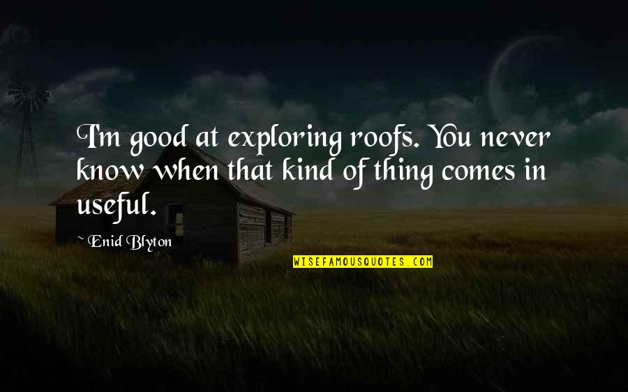 Blyton Enid Quotes By Enid Blyton: I'm good at exploring roofs. You never know