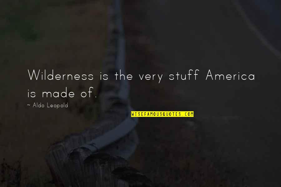 Bmw X6 Quotes By Aldo Leopold: Wilderness is the very stuff America is made Bmw X6 Quotes By Aldo Leopold: Wilderness is the very stuff America is made