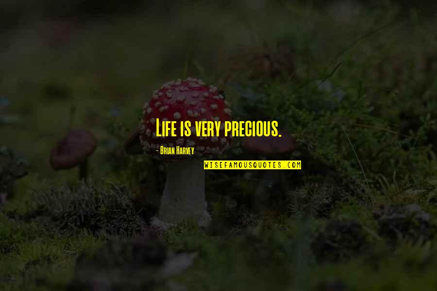 Bns Stock Quotes By Brian Harvey: Life is very precious. Bns Stock Quotes By Brian Harvey: Life is very precious.