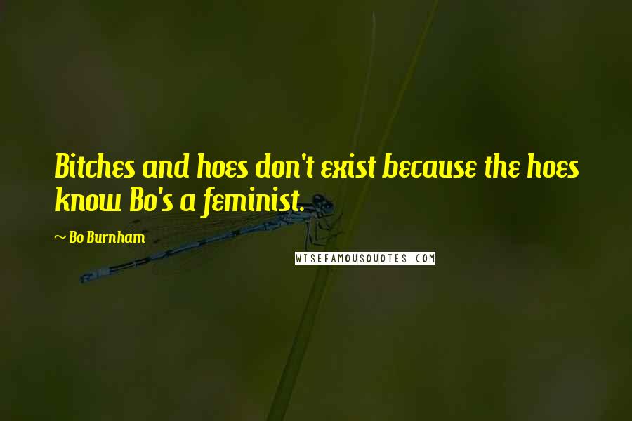 Bo Burnham quotes: Bitches and hoes don't exist because the hoes know Bo's a feminist.