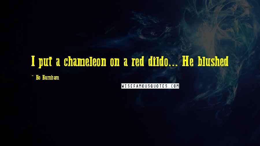 Bo Burnham quotes: I put a chameleon on a red dildo... He blushed