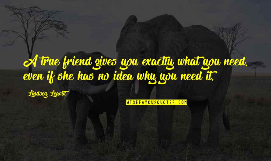 Bo Diddley Quotes By Lindsey Leavitt: A true friend gives you exactly what you Bo Diddley Quotes By Lindsey Leavitt: A true friend gives you exactly what you