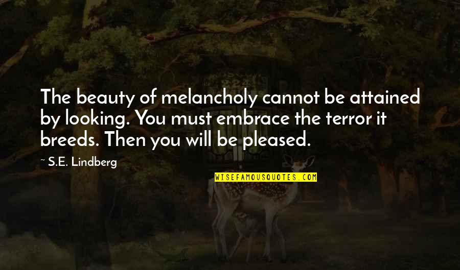 Bo Diddley Quotes By S.E. Lindberg: The beauty of melancholy cannot be attained by