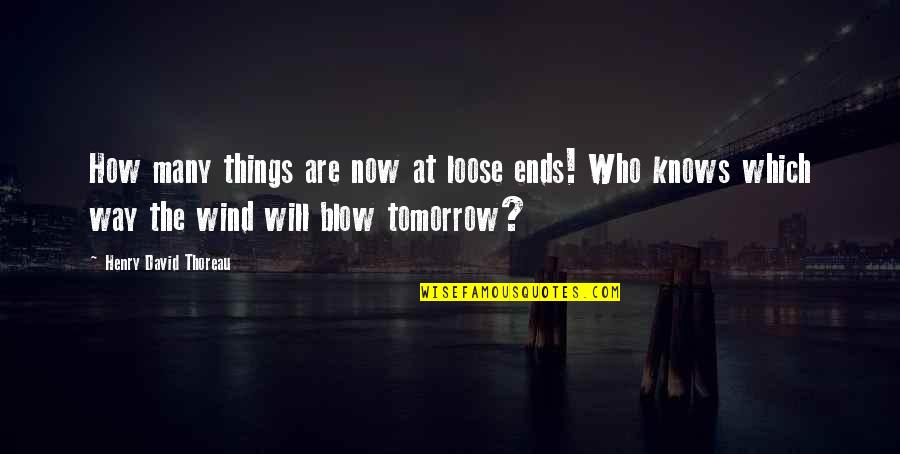 Bo Fod Quotes By Henry David Thoreau: How many things are now at loose ends!