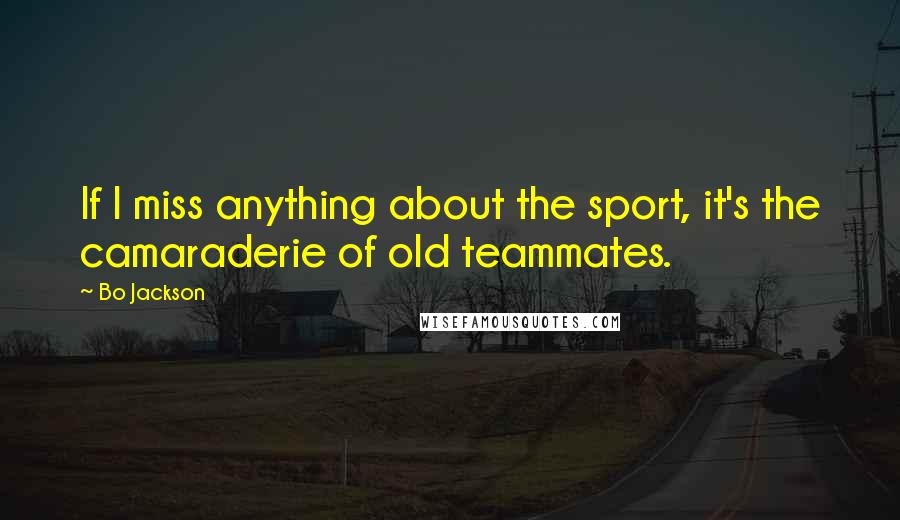 Bo Jackson quotes: If I miss anything about the sport, it's the camaraderie of old teammates.