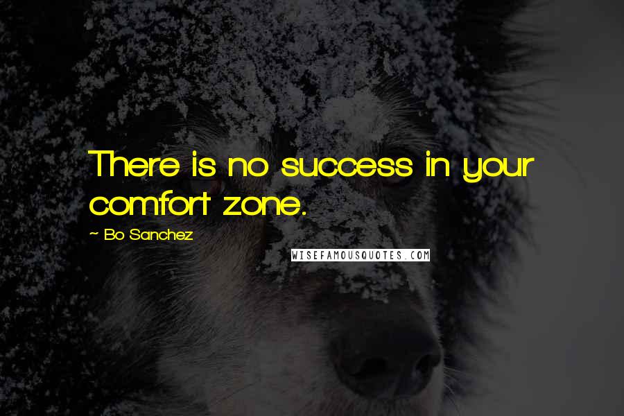 Bo Sanchez quotes: There is no success in your comfort zone.