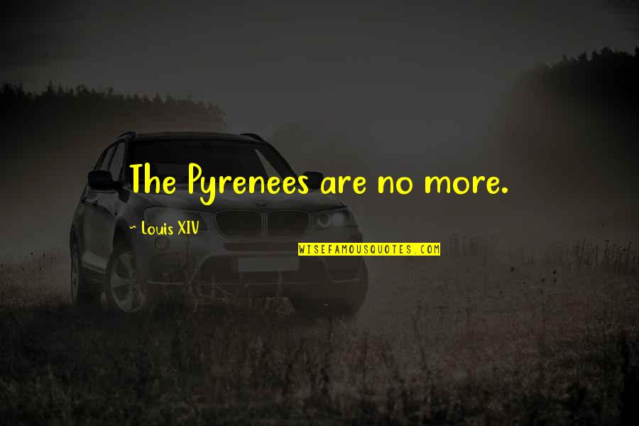 Bo2 Russman Quotes By Louis XIV: The Pyrenees are no more. Bo2 Russman Quotes By Louis XIV: The Pyrenees are no more.