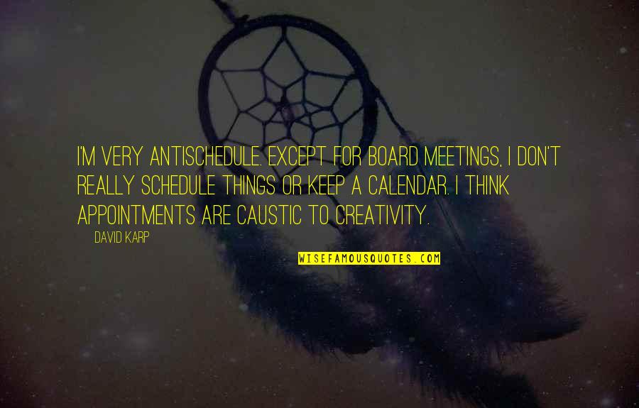 Board Meetings Quotes By David Karp: I'm very antischedule. Except for board meetings, I