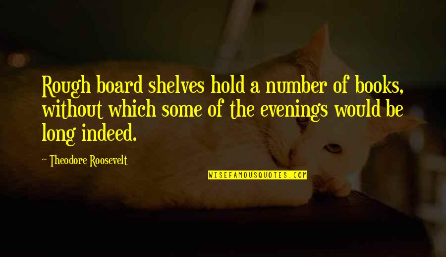 Board Of Quotes By Theodore Roosevelt: Rough board shelves hold a number of books,