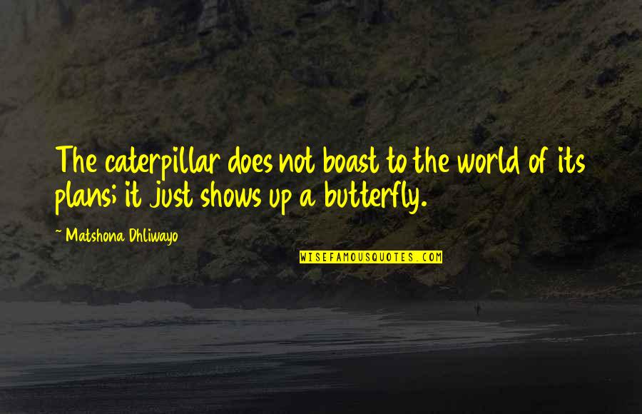 Boast Quotes By Matshona Dhliwayo: The caterpillar does not boast to the world