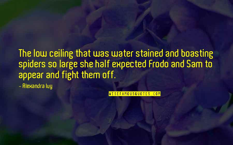 Boasting Quotes By Alexandra Ivy: The low ceiling that was water stained and
