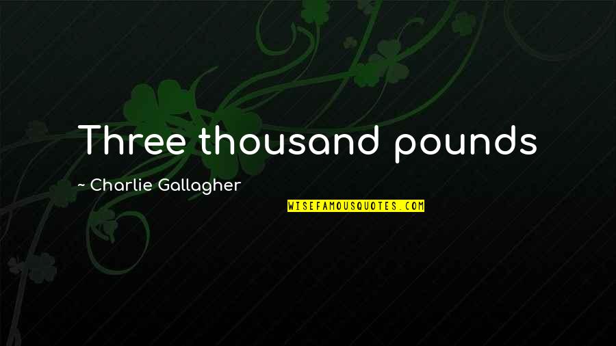 Boasting Quotes Quotes By Charlie Gallagher: Three thousand pounds