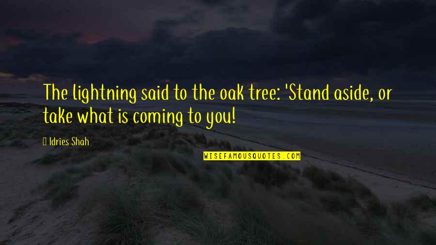 Boats And Rivers Quotes By Idries Shah: The lightning said to the oak tree: 'Stand