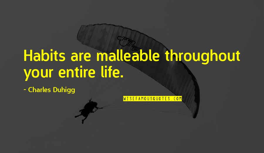 Bob Babbitt Quotes By Charles Duhigg: Habits are malleable throughout your entire life.
