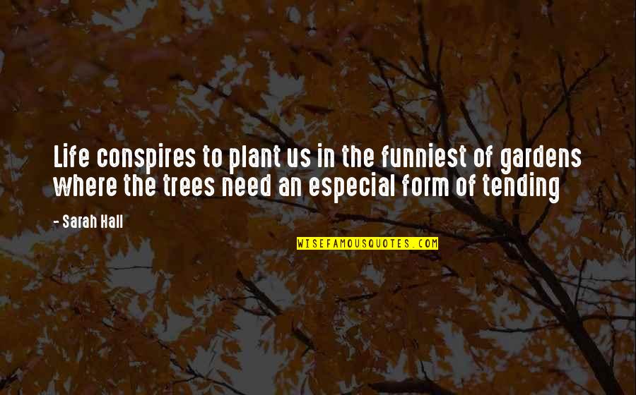Bob Costas Famous Quotes By Sarah Hall: Life conspires to plant us in the funniest Bob Costas Famous Quotes By Sarah Hall: Life conspires to plant us in the funniest