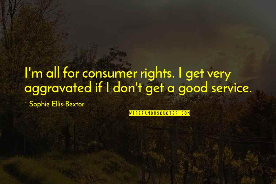 Bob De Rooij Quotes By Sophie Ellis-Bextor: I'm all for consumer rights. I get very