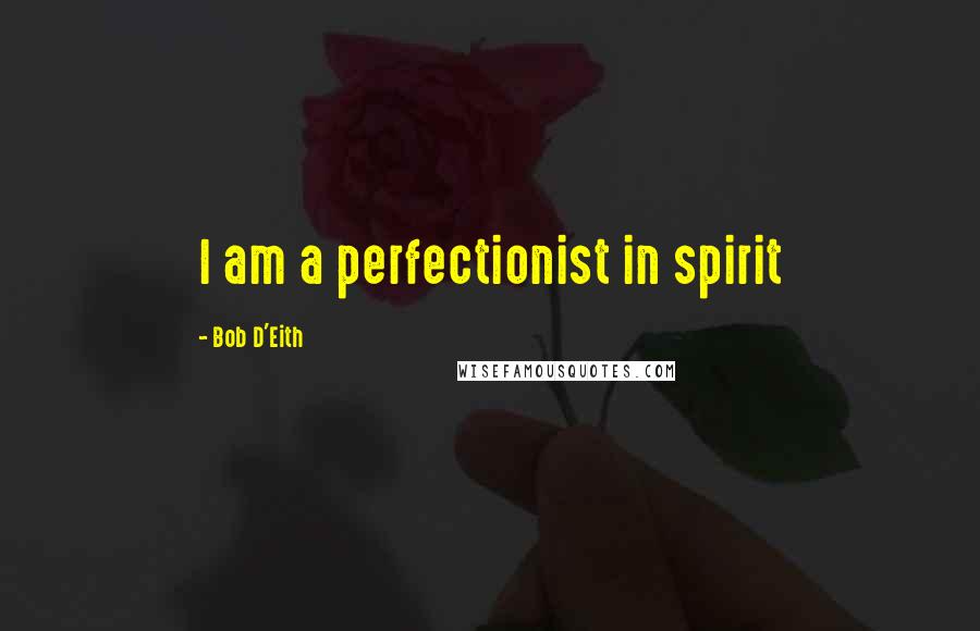 Bob D'Eith quotes: I am a perfectionist in spirit