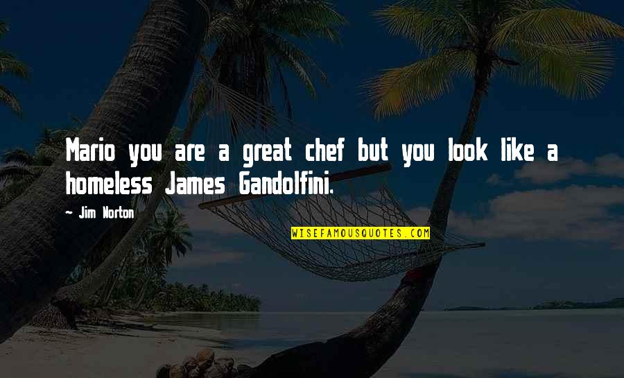 Bob Gansler Quotes By Jim Norton: Mario you are a great chef but you