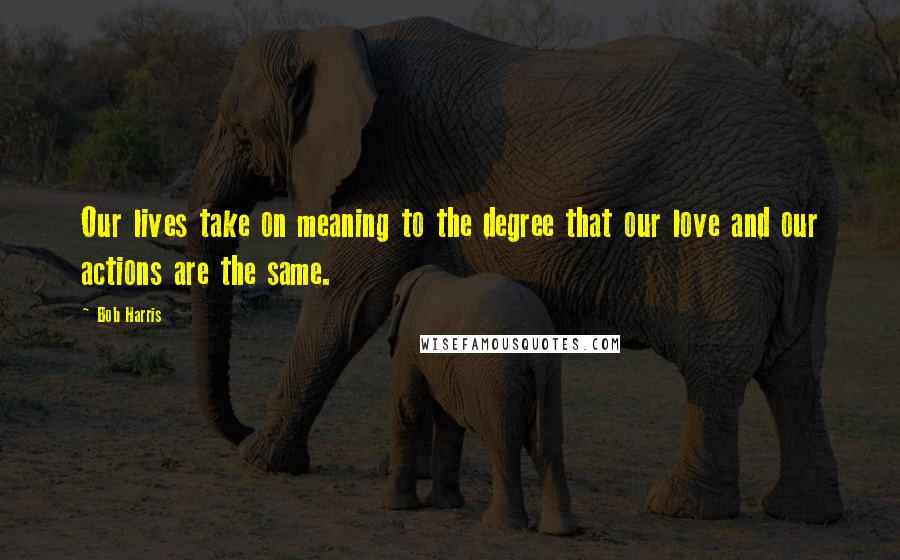Bob Harris quotes: Our lives take on meaning to the degree that our love and our actions are the same.