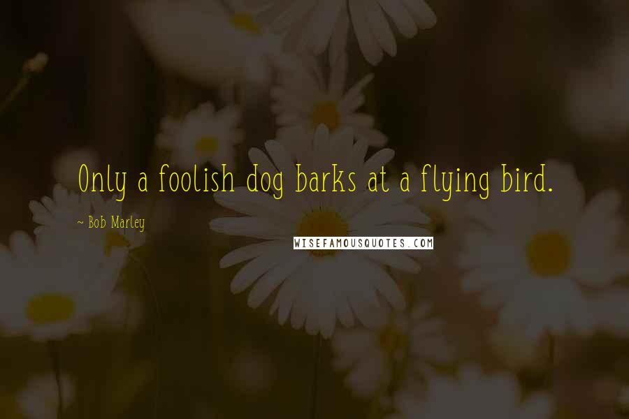 Bob Marley quotes: Only a foolish dog barks at a flying bird.