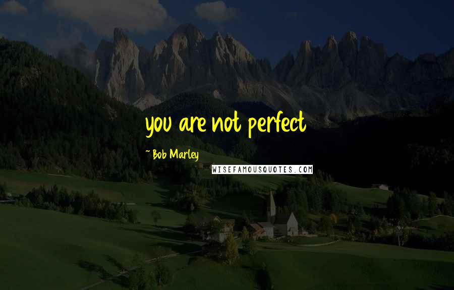 Bob Marley quotes: you are not perfect