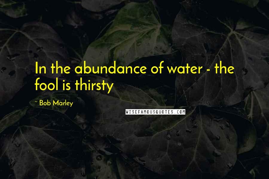 Bob Marley quotes: In the abundance of water - the fool is thirsty