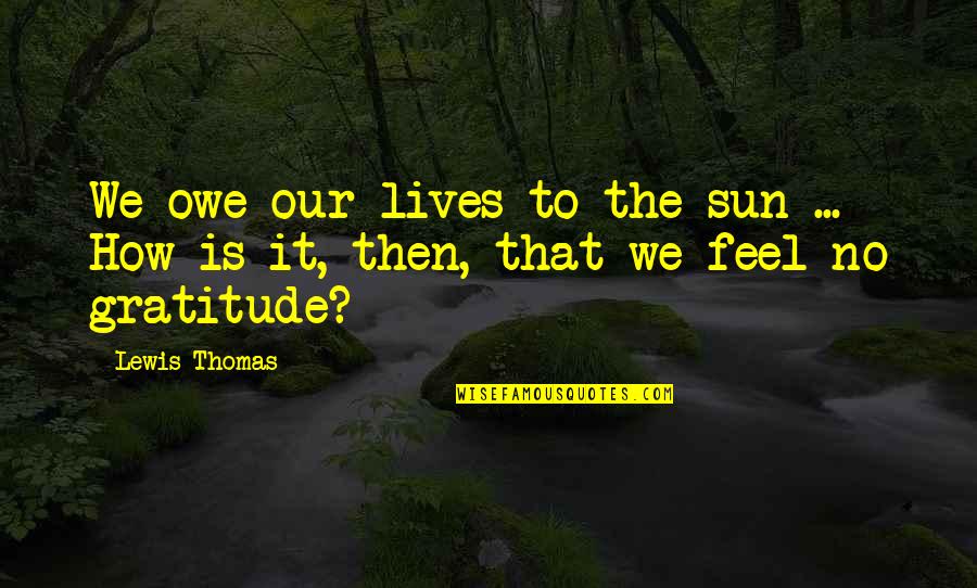 Bob Pressler Quotes By Lewis Thomas: We owe our lives to the sun ...