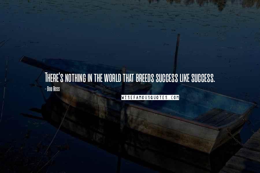 Bob Ross quotes: There's nothing in the world that breeds success like success.