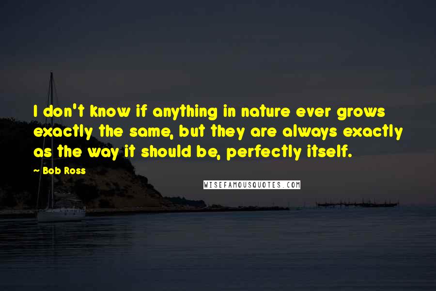 Bob Ross quotes: I don't know if anything in nature ever grows exactly the same, but they are always exactly as the way it should be, perfectly itself.