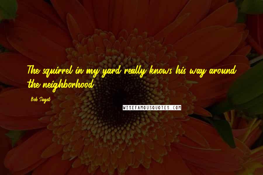 Bob Saget quotes: The squirrel in my yard really knows his way around the neighborhood.