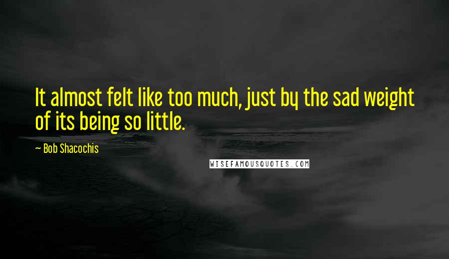 Bob Shacochis quotes: It almost felt like too much, just by the sad weight of its being so little.
