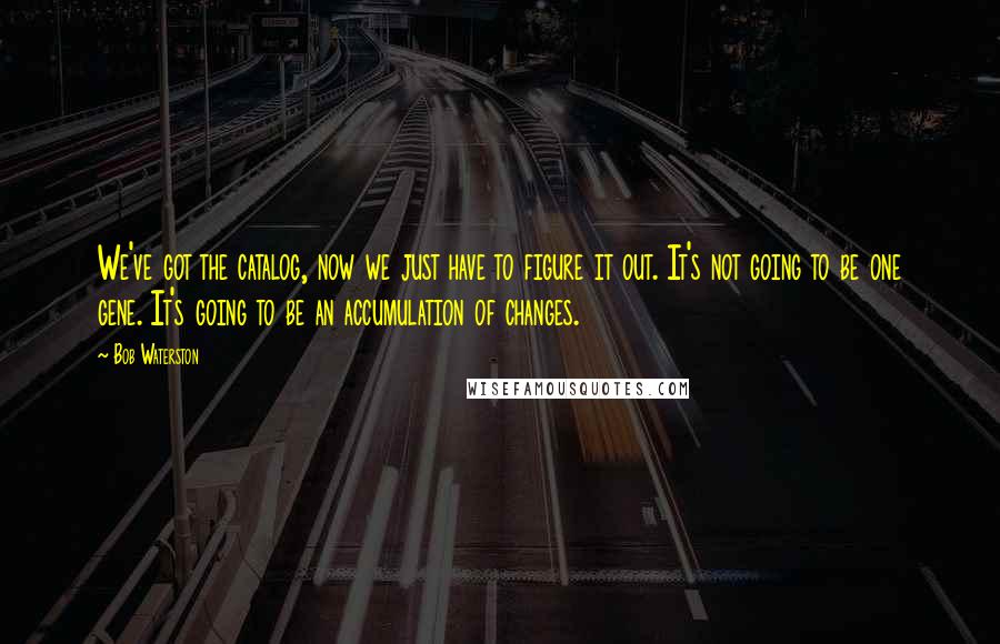 Bob Waterston quotes: We've got the catalog, now we just have to figure it out. It's not going to be one gene. It's going to be an accumulation of changes.